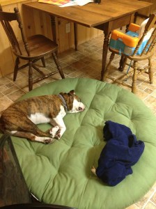 Our boy Biggie taking the R&R very seriously