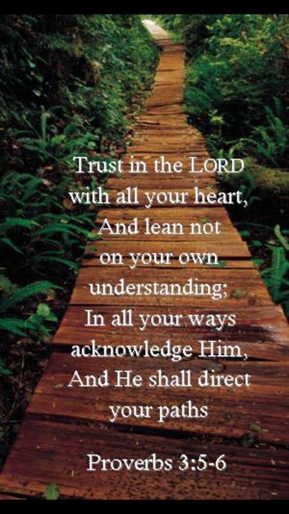 Proverbs 3